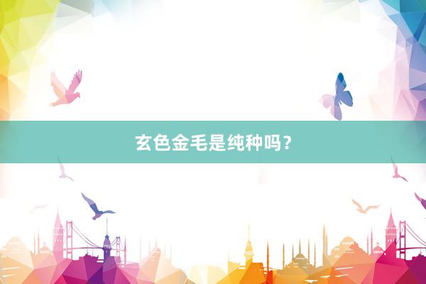 玄色金毛是纯种吗？